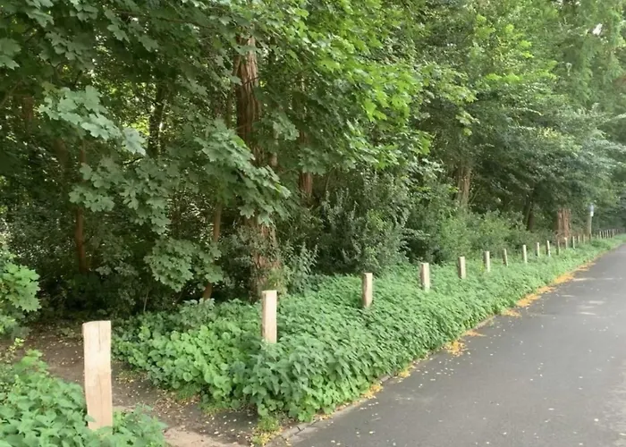 Appartement Am Nordglacis *